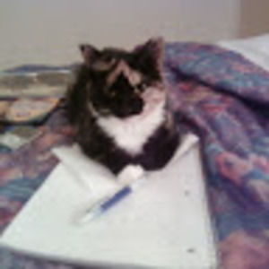 Meet your Posher, Niki